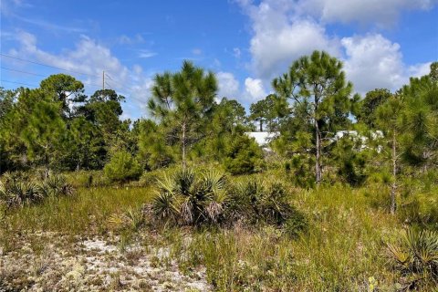 Terreno en venta en Sebring, Florida № 1335901 - foto 24