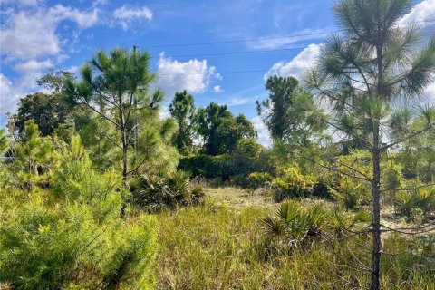 Land in Sebring, Florida № 1335901 - photo 28