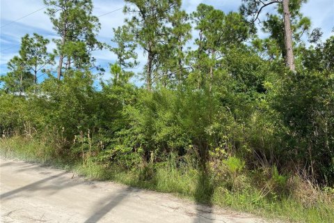 Terrain à vendre à Punta Gorda, Floride № 1385532 - photo 4