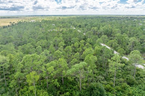 Terrain à vendre à Punta Gorda, Floride № 1385532 - photo 8