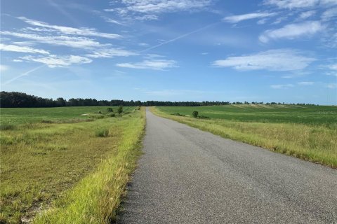 Land in Morriston, Florida № 1375148 - photo 2