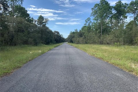 Land in Morriston, Florida № 1375148 - photo 1