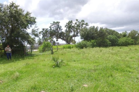 Terreno en venta en Palmetto, Florida № 1353601 - foto 10