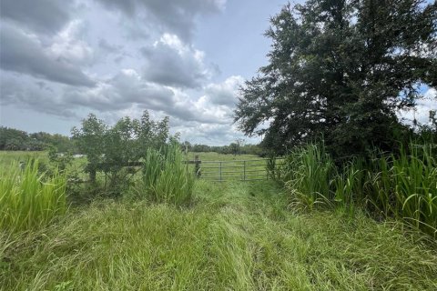 Terrain à vendre à Palmetto, Floride № 1353601 - photo 6