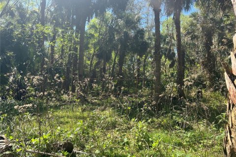 Купить земельный участок в Делтона, Флорида № 1027498 - фото 2