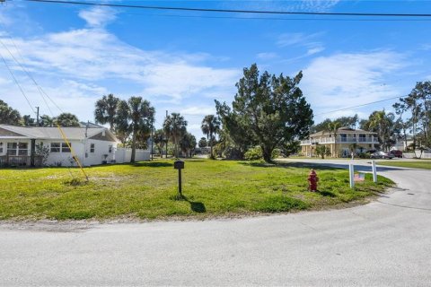 Terreno en venta en Hudson, Florida № 1390919 - foto 9