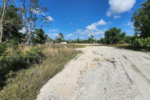 Terrain à vendre à Punta Gorda, Floride № 1071652 - photo 8