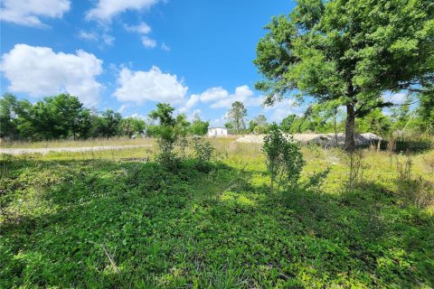 Terrain à vendre à Punta Gorda, Floride № 1071652 - photo 3