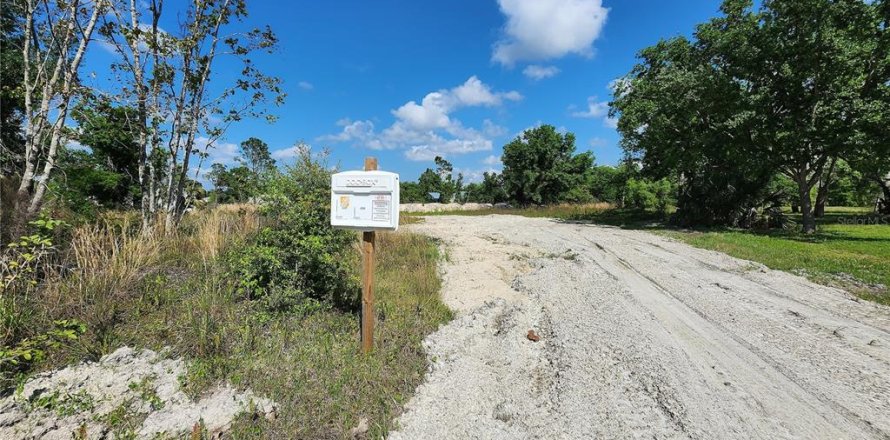 Terrain à Punta Gorda, Floride № 1071652