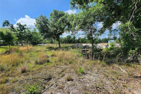 Terrain à vendre à Punta Gorda, Floride № 1071652 - photo 5