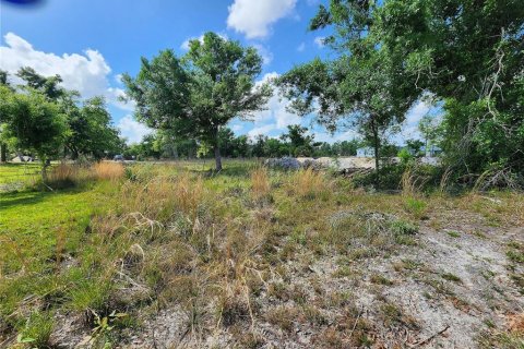 Terrain à vendre à Punta Gorda, Floride № 1071652 - photo 6