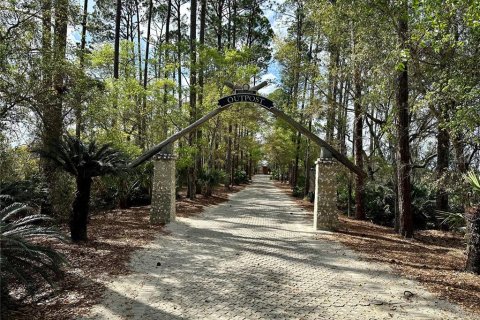 Land in Fernandina Beach, Florida № 1354181 - photo 20