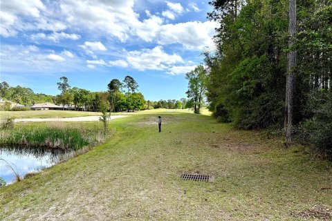 Terreno en venta en Fernandina Beach, Florida № 1354181 - foto 7