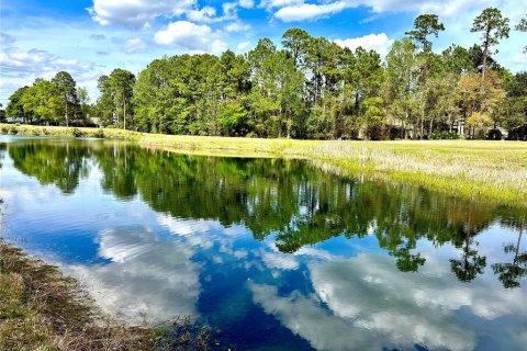 Land in Fernandina Beach, Florida № 1354181 - photo 4