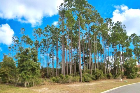 Land in Fernandina Beach, Florida № 1354181 - photo 2