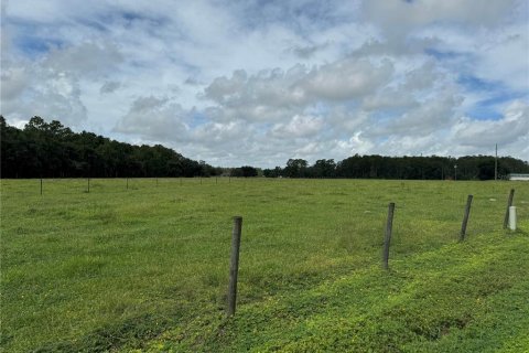 Land in Clermont, Florida № 1349345 - photo 2