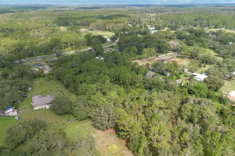 Terreno en venta en Clermont, Florida № 1351282 - foto 10