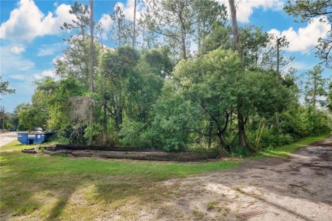 Terreno en venta en Clermont, Florida № 1351282 - foto 2