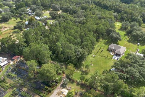 Land in Clermont, Florida № 1351282 - photo 20