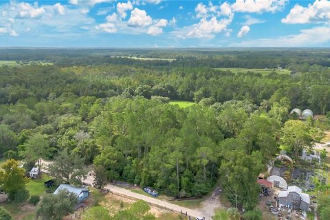 Terreno en venta en Clermont, Florida № 1351282 - foto 4