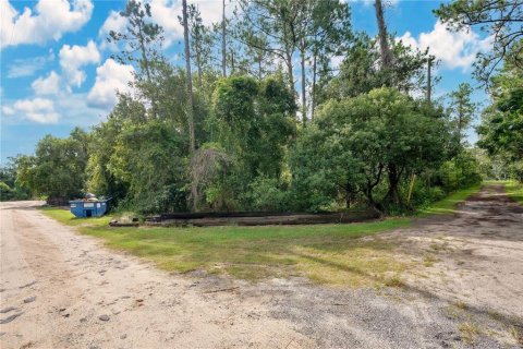 Terreno en venta en Clermont, Florida № 1351282 - foto 1