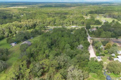 Terreno en venta en Clermont, Florida № 1351282 - foto 9