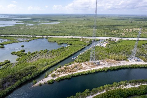 Купить коммерческую недвижимость в Хомстед, Флорида № 1293932 - фото 10