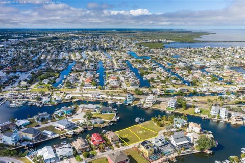 Land in Hudson, Florida № 1244278 - photo 17