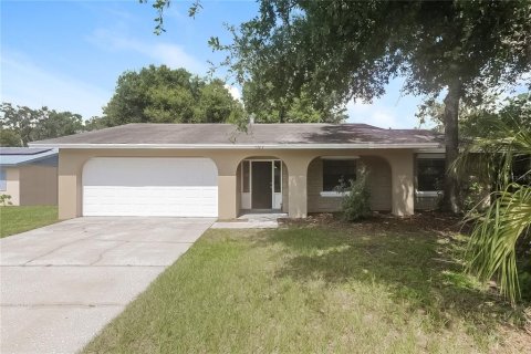 House in Brandon, Florida 2 bedrooms, 115.38 sq.m. № 1320505 - photo 1