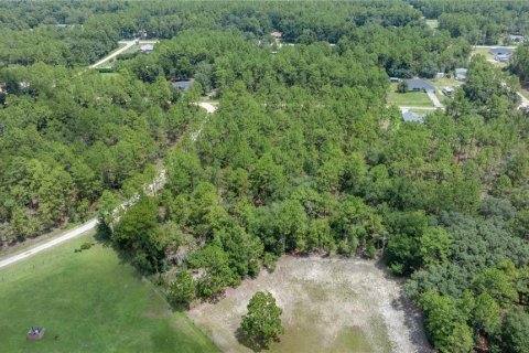 Terrain à vendre à Ocala, Floride № 1296627 - photo 6