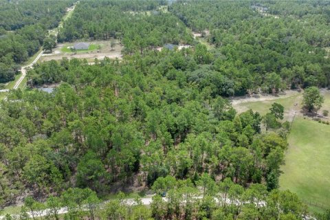 Terrain à vendre à Ocala, Floride № 1296627 - photo 3