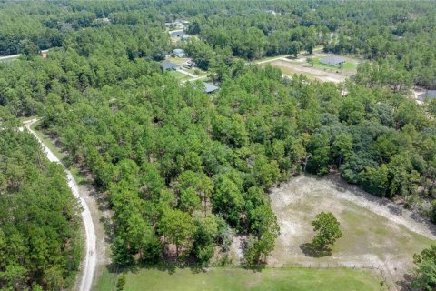 Terreno en venta en Ocala, Florida № 1296627 - foto 5