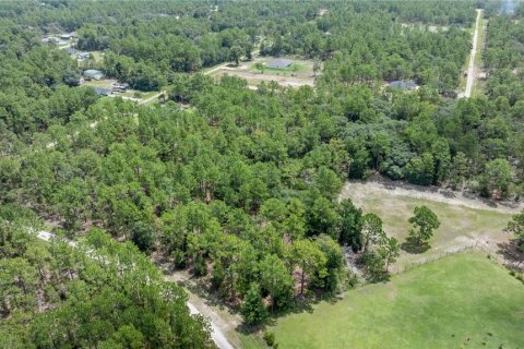 Terrain à vendre à Ocala, Floride № 1296627 - photo 4