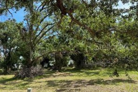 Land in Arcadia, Florida № 1297375 - photo 2