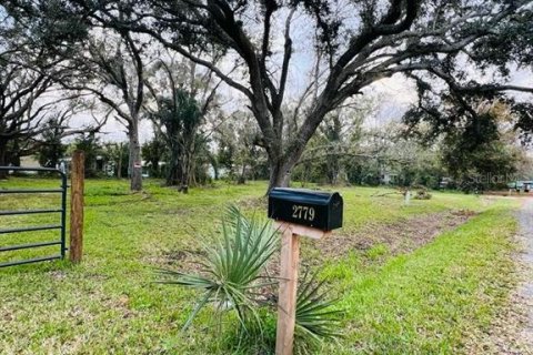 Terreno en venta en Arcadia, Florida № 1297375 - foto 5