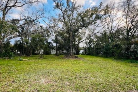 Terreno en venta en Arcadia, Florida № 1297375 - foto 10