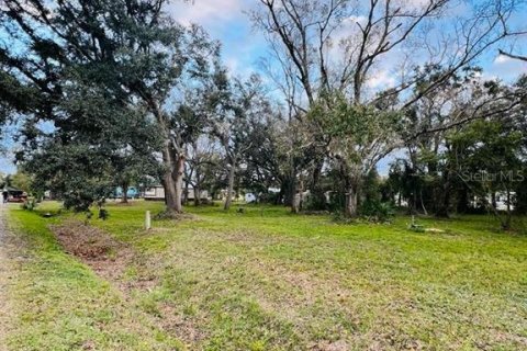 Terreno en venta en Arcadia, Florida № 1297375 - foto 9