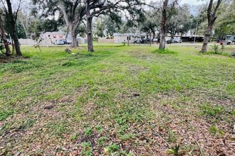 Terrain à vendre à Arcadia, Floride № 1297375 - photo 6