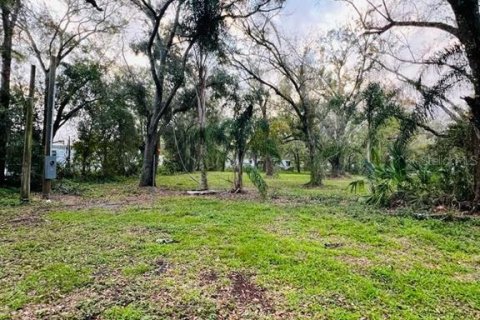 Terreno en venta en Arcadia, Florida № 1297375 - foto 8