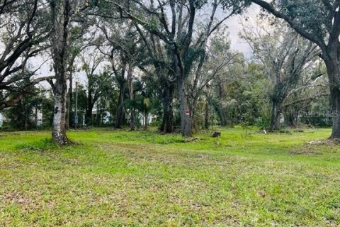 Terreno en venta en Arcadia, Florida № 1297375 - foto 7