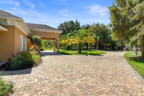 Villa ou maison à vendre à Odessa, Floride: 7 chambres, 778.99 m2 № 1346785 - photo 5