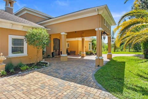 Villa ou maison à vendre à Odessa, Floride: 7 chambres, 778.99 m2 № 1346785 - photo 6