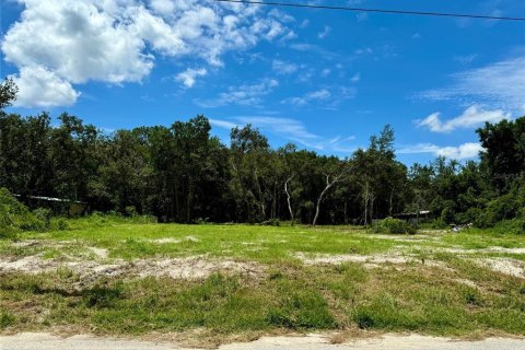 Land in New Port Richey, Florida № 1276433 - photo 3