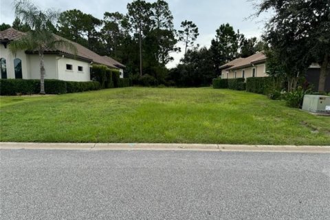 Terreno en venta en Palm Coast, Florida № 1397263 - foto 1