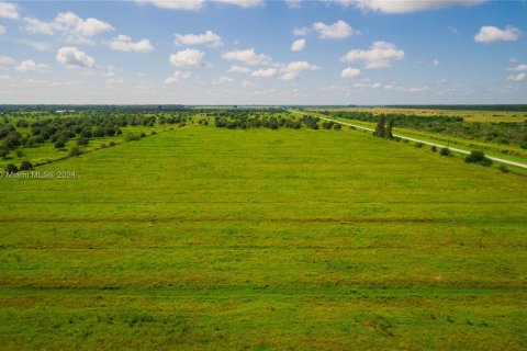 Купить коммерческую недвижимость в Сент-Луси, Флорида № 1405963 - фото 2