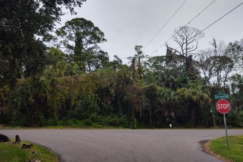 Land in PORT ST. JOHN in Cocoa, Florida № 1243998 - photo 1