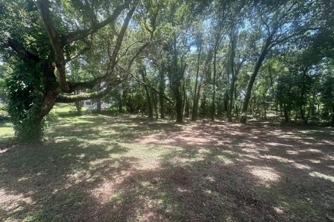 Terreno en venta en Dade City, Florida № 1302427 - foto 3