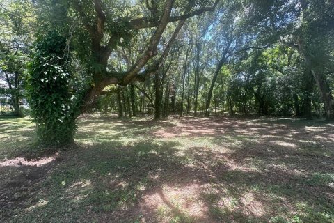 Terreno en venta en Dade City, Florida № 1302427 - foto 1