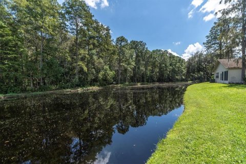 Condo in New Port Richey, Florida, 2 bedrooms  № 1379480 - photo 24