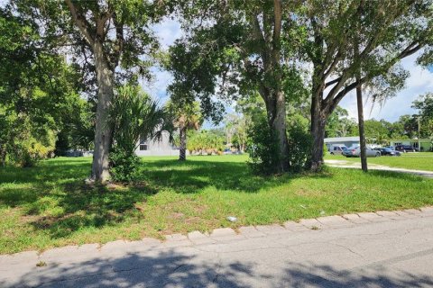 Terreno en venta en Saint Petersburg, Florida № 1255409 - foto 5